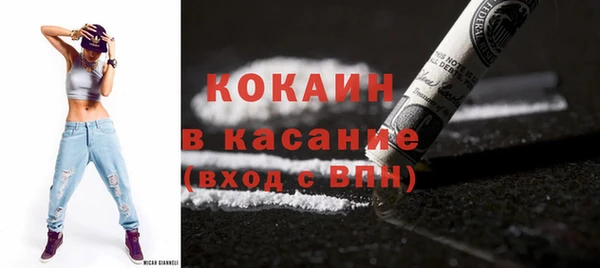 твердый Арсеньев