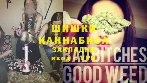 твердый Арсеньев