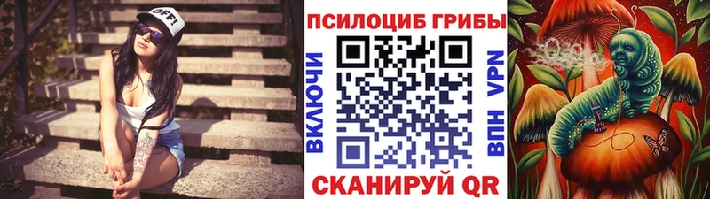 Галлюциногенные грибы GOLDEN TEACHER  Талдом 