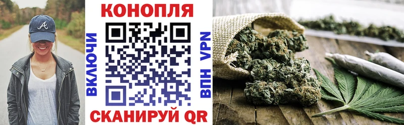 Бошки Шишки VHQ  Талдом 